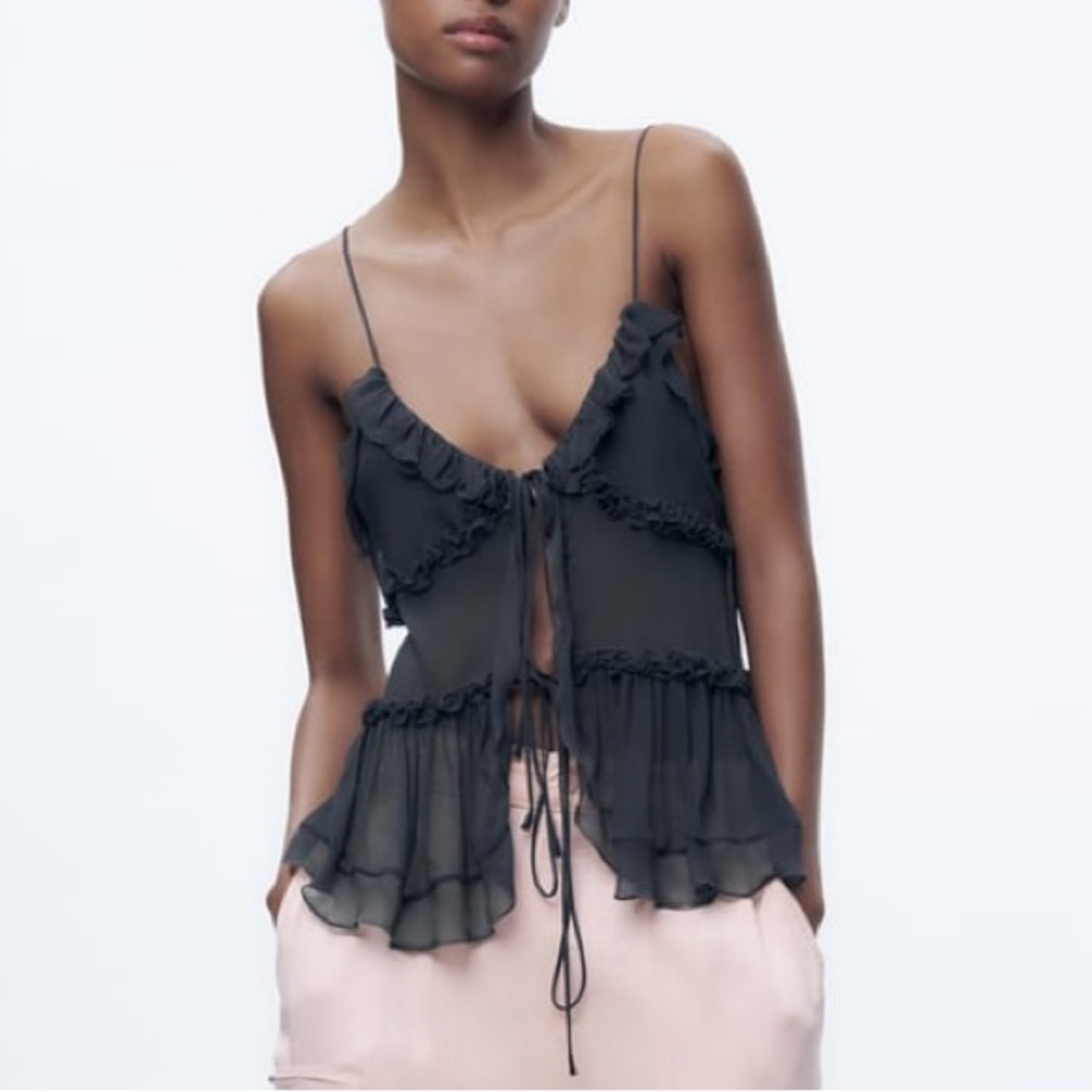 Ruffled semi sheer top zara